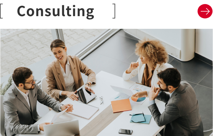 Consulting